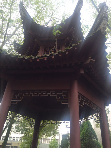 澳大利亚国际教育课程管理中心-周边环境
