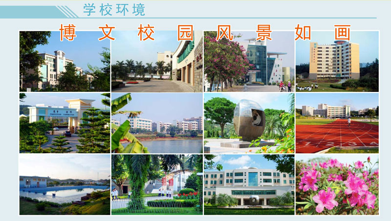 中山市广东博文学校校园相关图片